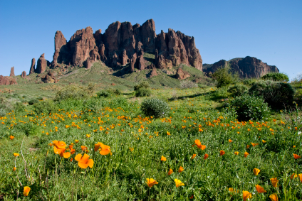 Superstition Mountain View